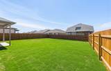 13313 Cerro Castellan Trce - Photo 26