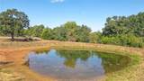 (Tract 2) Green Hill Road - Photo 9
