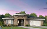 329 Sweeping Sage Ln - Photo 1