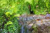 000 River Run - Photo 15