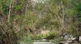 000 River Run - Photo 32