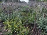 615 County Road 467 - Photo 17