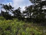 615 County Road 467 - Photo 21