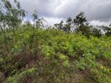 615 County Road 467 - Photo 25
