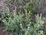 615 County Road 467 - Photo 8