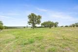 10134 Sweet Lilly Trl - Photo 2