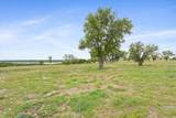 10134 Sweet Lilly Trl - Photo 3