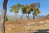 3300 Fm 165 - Lot 13A - Photo 13