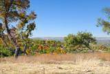 3300 Fm 165 - Lot 13A - Photo 9
