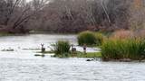 256 Greasy Bend Rd - Photo 1