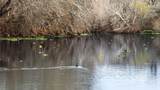 256 Greasy Bend Rd - Photo 19