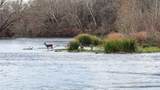 256 Greasy Bend Rd - Photo 34