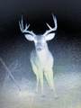 TBD S Rocky Trl - Photo 28