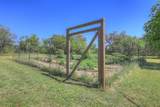 830 Palomino Ln - Photo 34