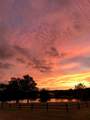 1120 Vance St - Photo 40