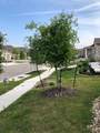 1621 Brueggerhoff Rd - Photo 26