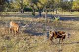 3516 Mount Sharp Rd - Photo 40