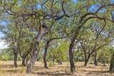 Lot 17 Stonegate Ct - Photo 12
