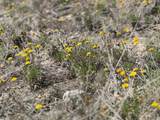 Lot 24 Private Road 3643 - Photo 18