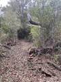 TBD Donahoe Rd - Photo 19