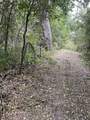 TBD Donahoe Rd - Photo 23