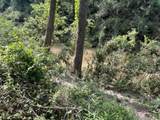 TBD Donahoe Rd - Photo 4