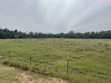 TBD Donahoe Rd - Photo 8