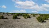 Lot 50 Miranda Ct - Photo 8