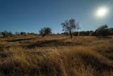 2530 County Road 408 - Photo 11