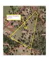4111 County Road 120 - Photo 23