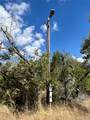 TBD County Road 202 - Photo 19