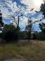 TBD County Road 202 - Photo 22