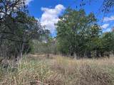 TBD County Road 202 - Photo 4