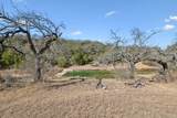 13131 Fm 1431 Highway - Photo 24