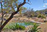 13131 Fm 1431 Highway - Photo 32
