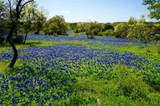 13131 Fm 1431 Highway - Photo 37