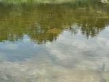 13131 Fm 1431 Highway - Photo 39