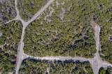 20604 Telegraph Pass - Photo 13