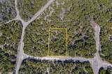 20604 Telegraph Pass - Photo 14