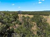 13100 Ranch Road 12 - Photo 14