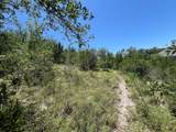 13700 Montview Dr - Photo 8