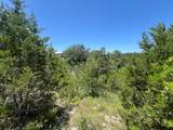 13700 Montview Dr - Photo 9