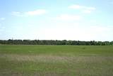 8821 County Road 133 - Photo 29