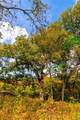 159 Brushy Creek Trl - Photo 7
