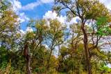 159 Brushy Creek Trl - Photo 8