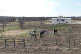 2690 County Road 466 - Photo 7