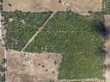 2025 Mule Creek Rd - Photo 4