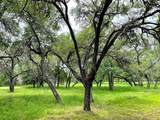 TBD Ranch Road 12 - Photo 9