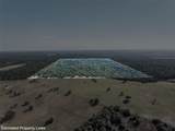 555 Altamira Ln - Photo 6
