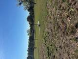 1715 CR 251 County Road 251 Rds - Photo 6